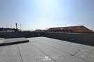 Dachterrasse Süd-Ost